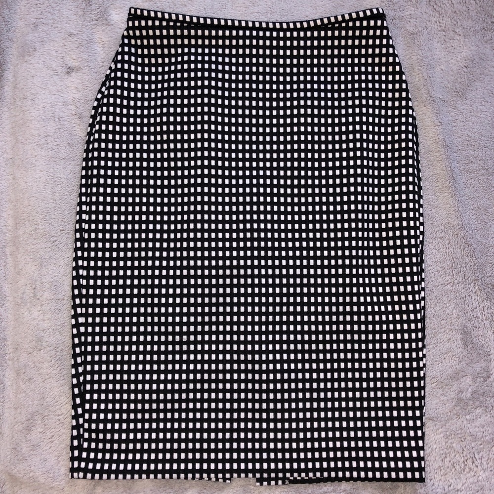 Express Skirt